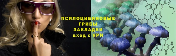 мяу мяу мука Аркадак