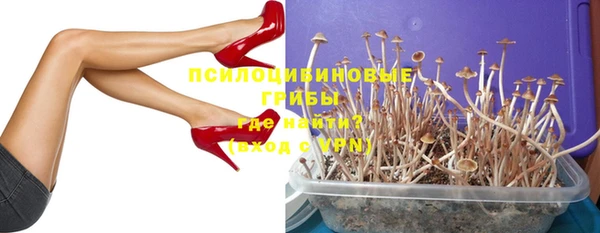соль ск Арсеньев